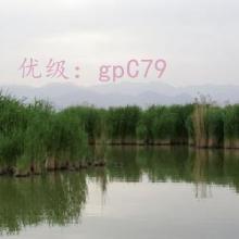 ǻ