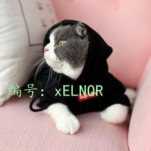 ǻ