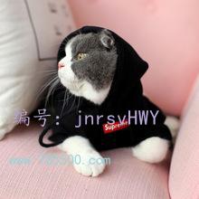 ɹ